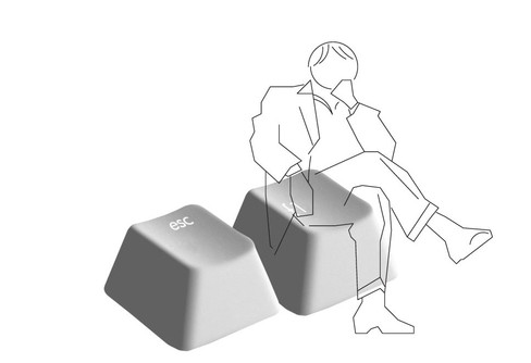 object image